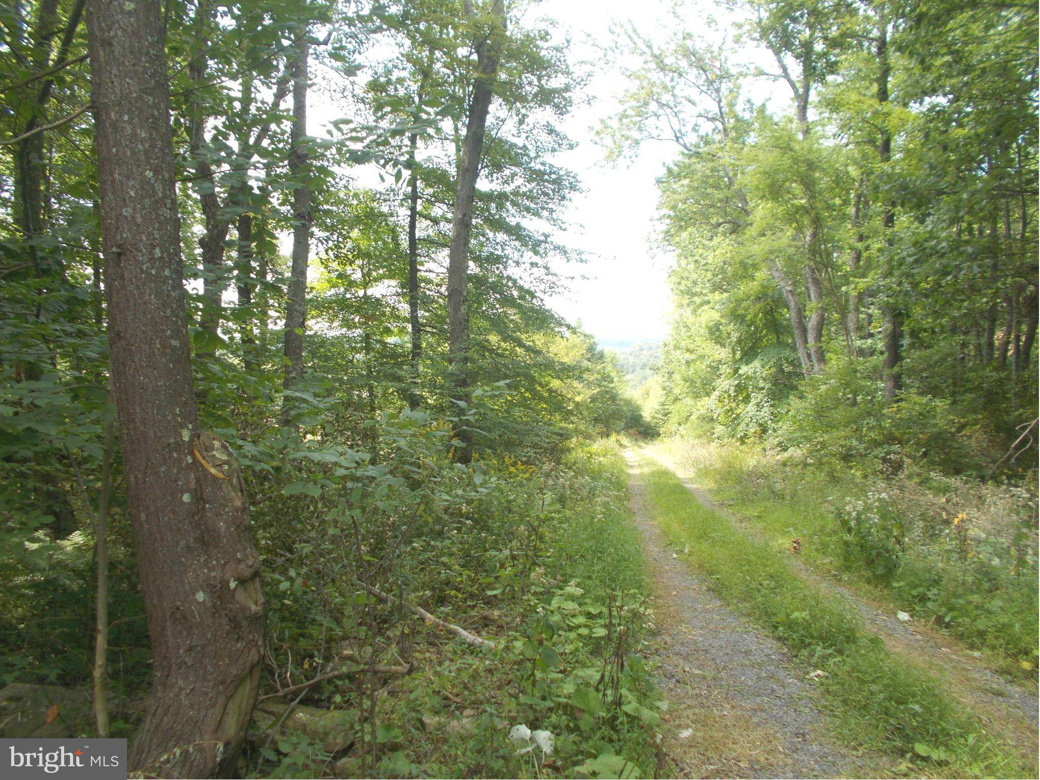 Mount Storm, WV 26739,6 LOT 6 KINGS ACRES