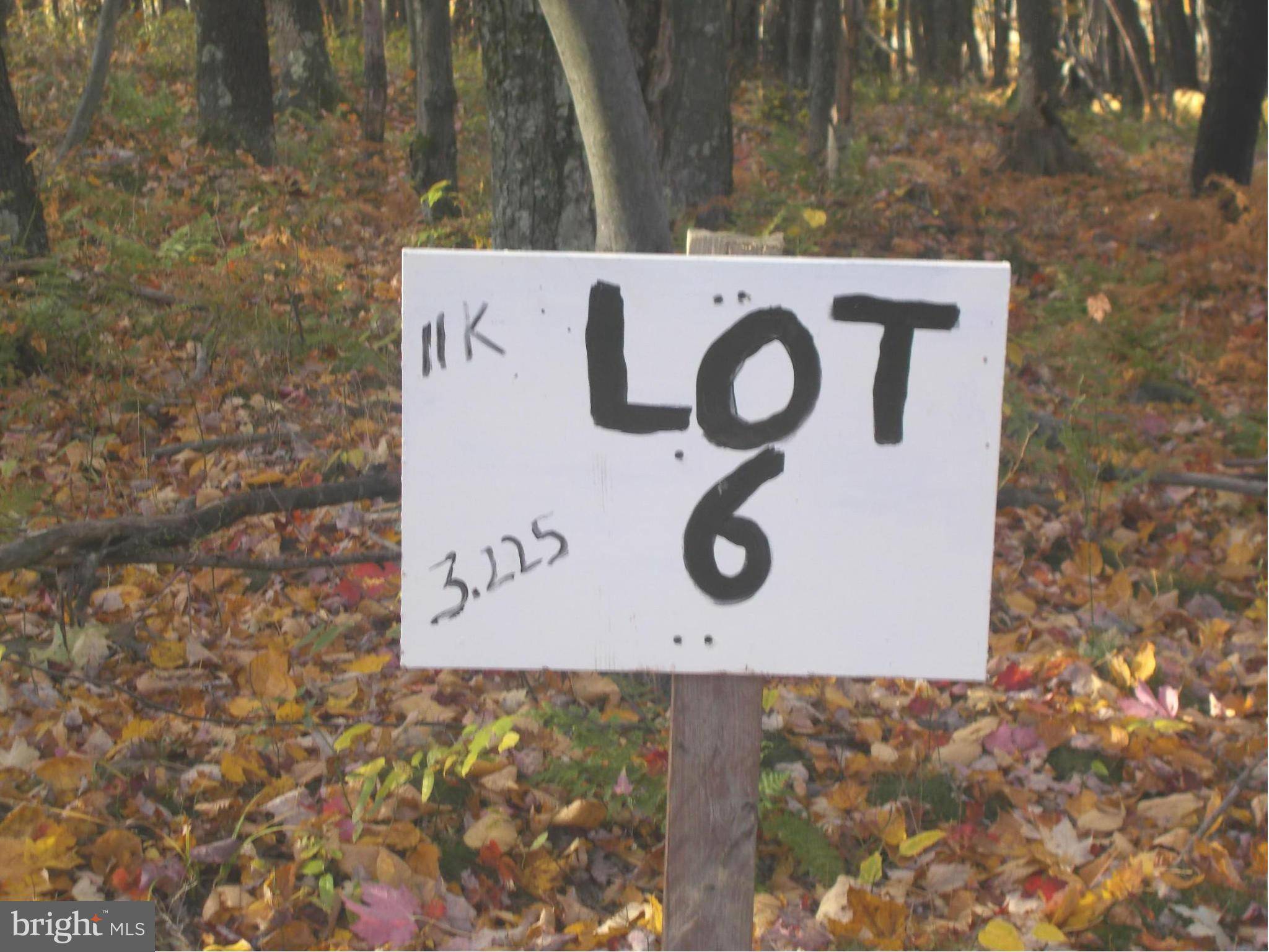 Mount Storm, WV 26739,6 LOT 6 KINGS ACRES