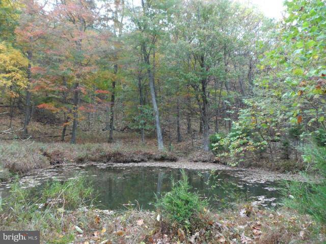 Cabins, WV 26855,LOT 6 NEW CREEK MT ESTATES