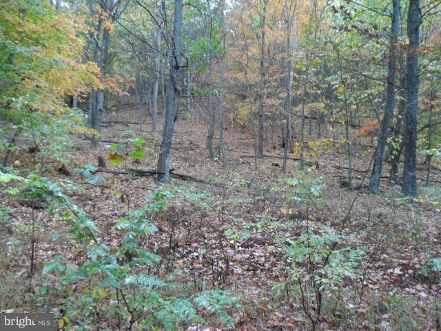 Cabins, WV 26855,LOT 6 NEW CREEK MT ESTATES