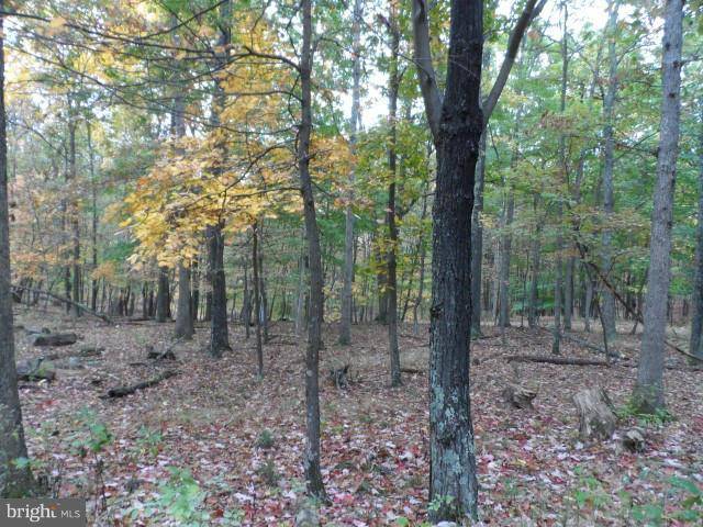 Cabins, WV 26855,LOT 6 NEW CREEK MT ESTATES