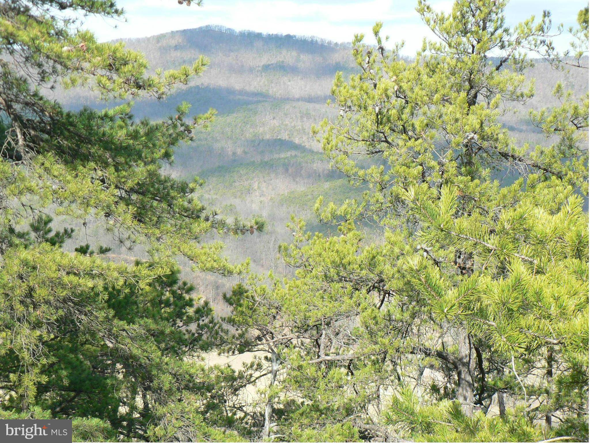 Petersburg, WV 26847,72.15 AC WILDERNESS WAY