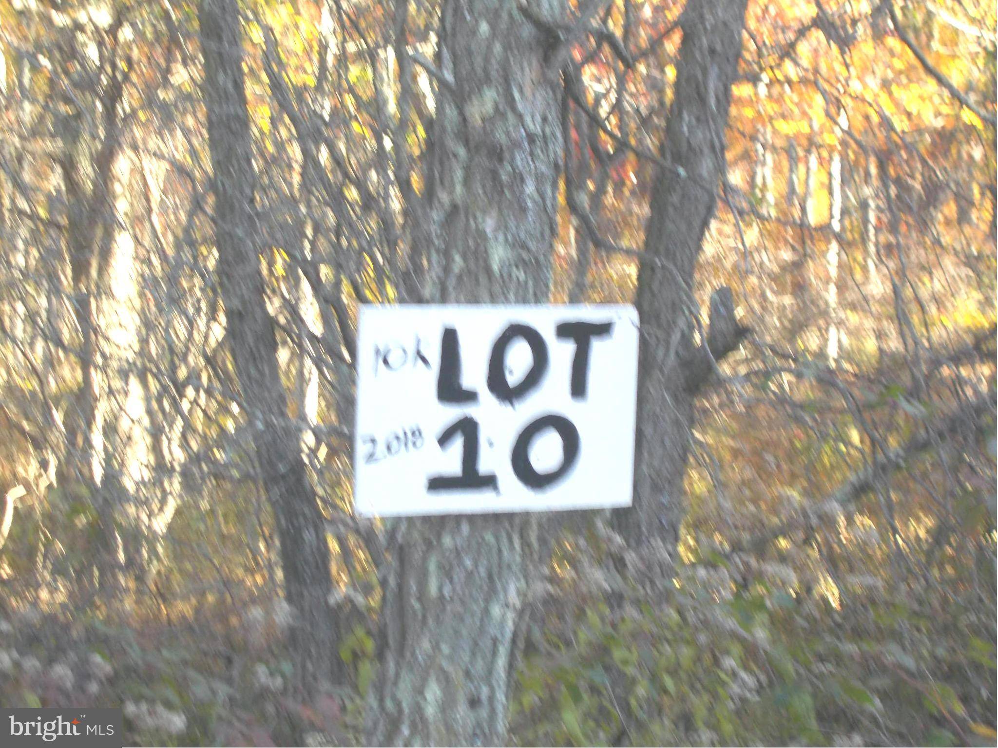 Mount Storm, WV 26739,10 LOT 10 KINGS ACRES