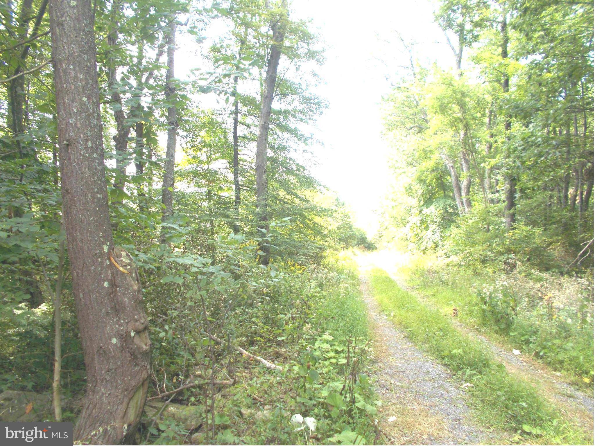 Mount Storm, WV 26739,10 LOT 10 KINGS ACRES