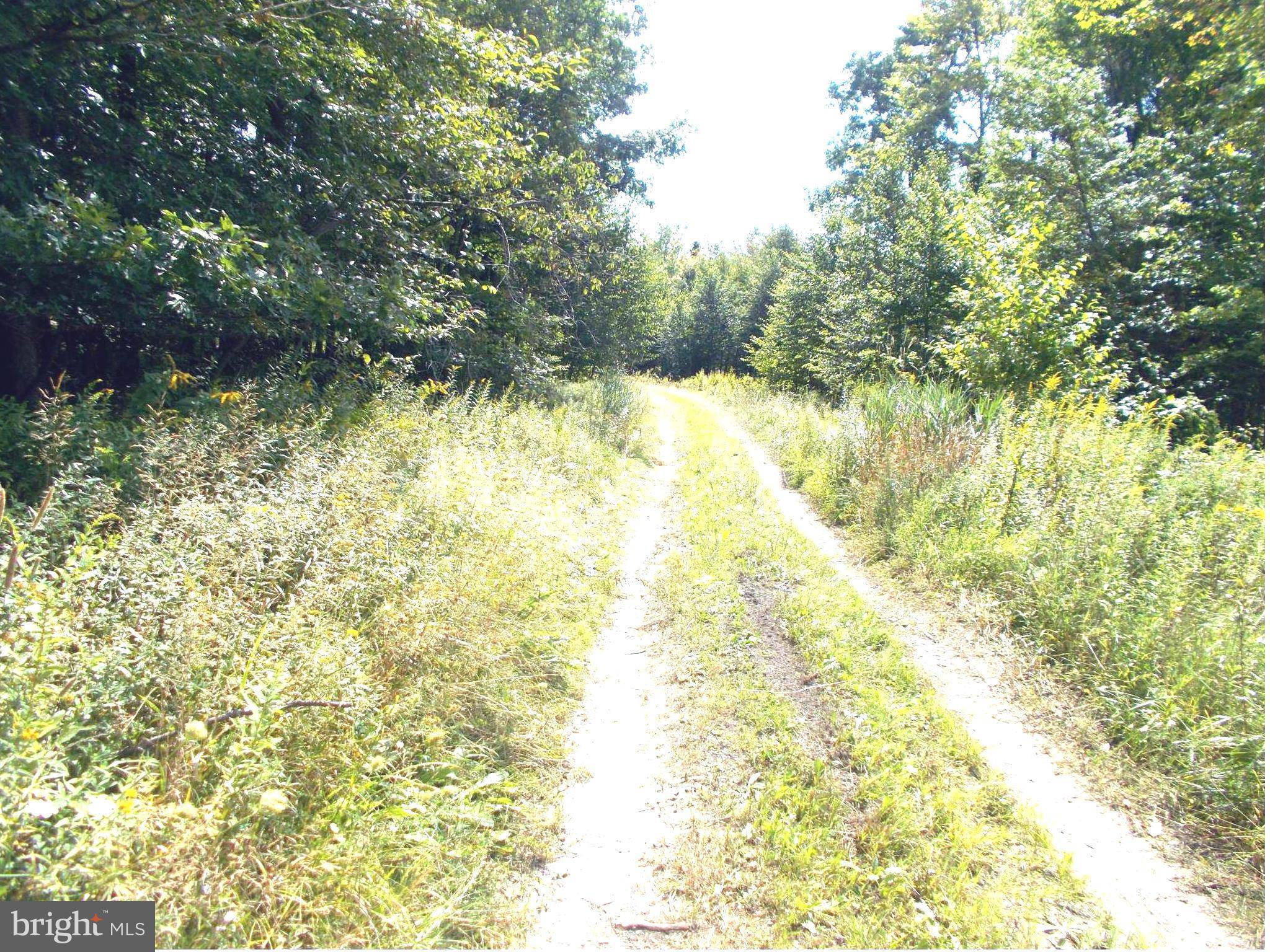 Mount Storm, WV 26739,10 LOT 10 KINGS ACRES