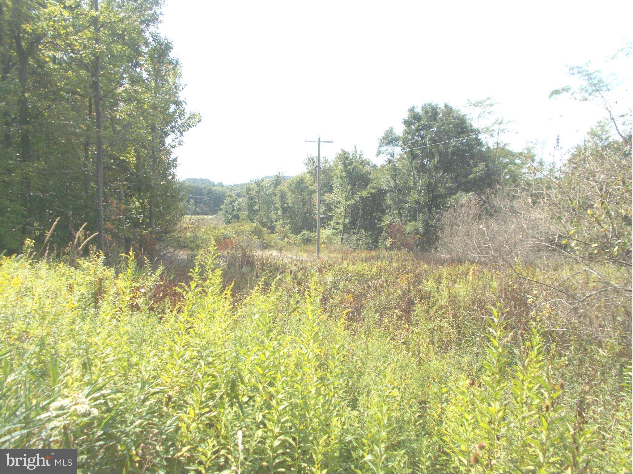 Mount Storm, WV 26739,12 LOT 12 KINGS ACRES