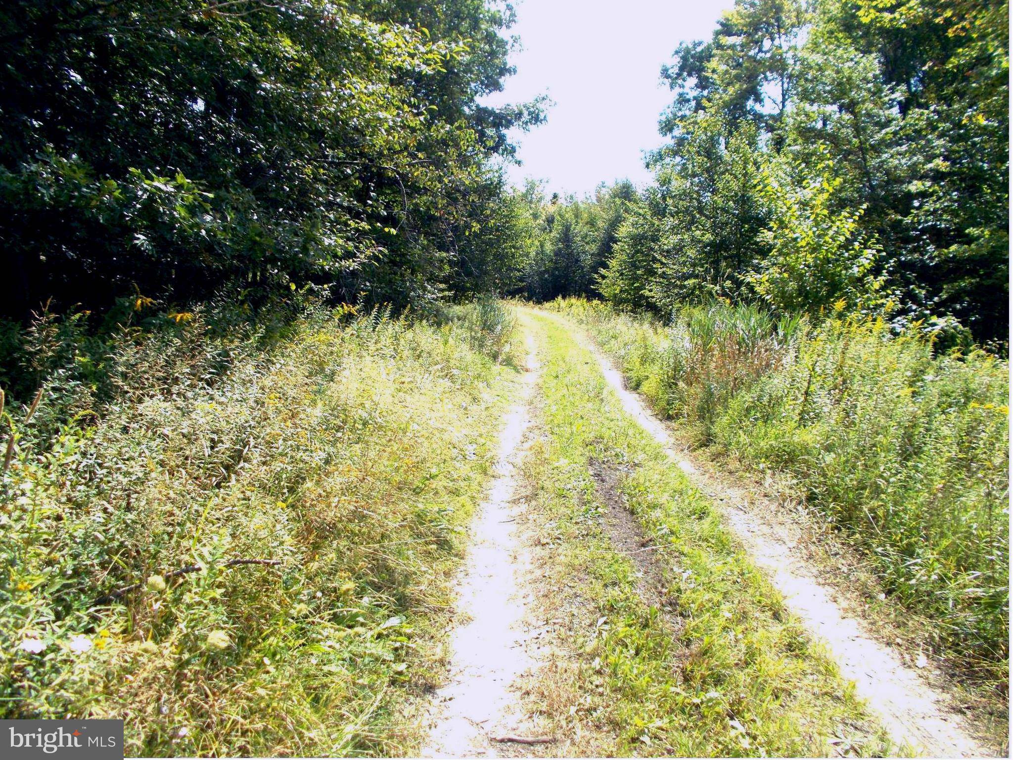 Mount Storm, WV 26739,12 LOT 12 KINGS ACRES