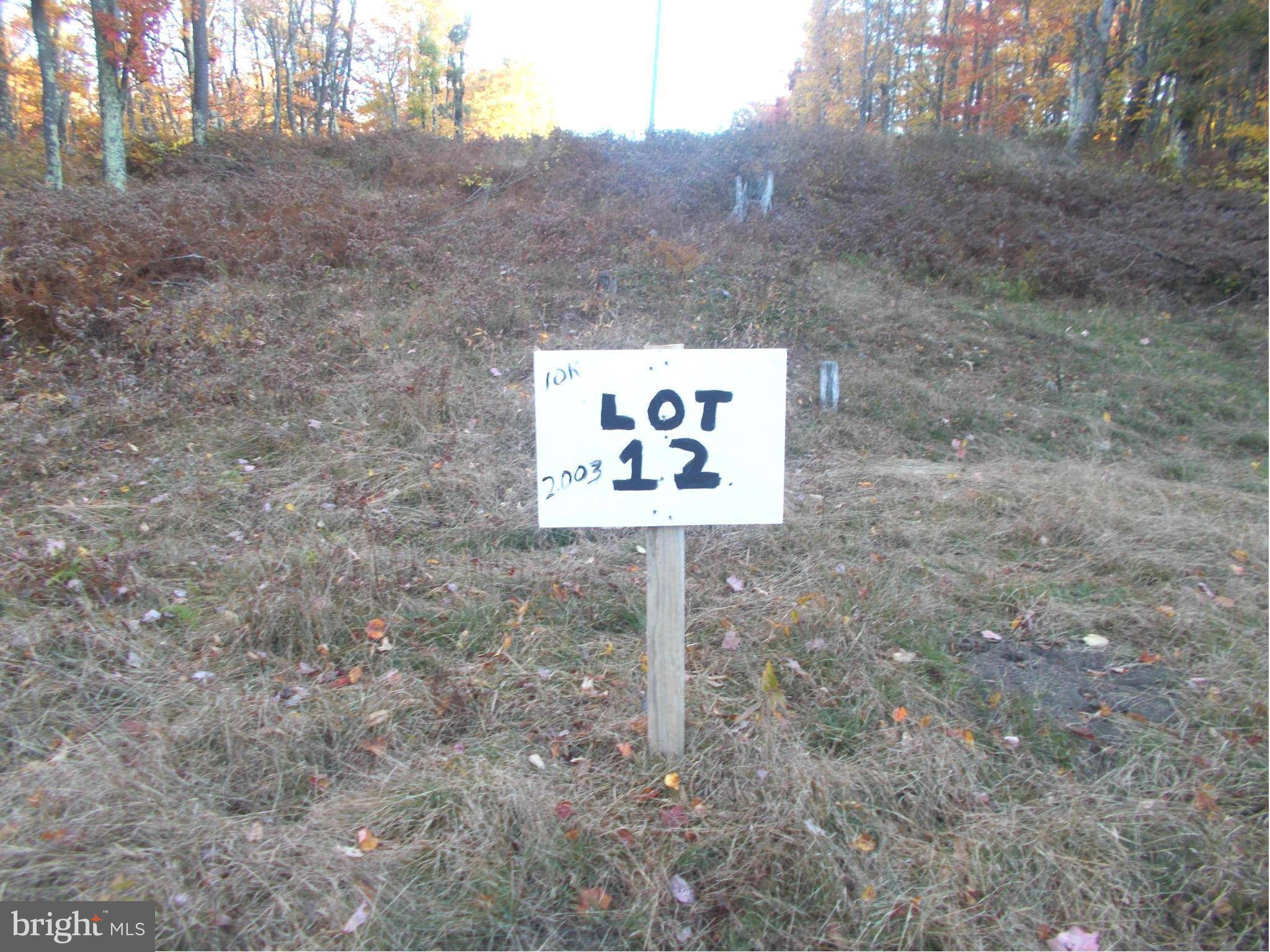 Mount Storm, WV 26739,12 LOT 12 KINGS ACRES