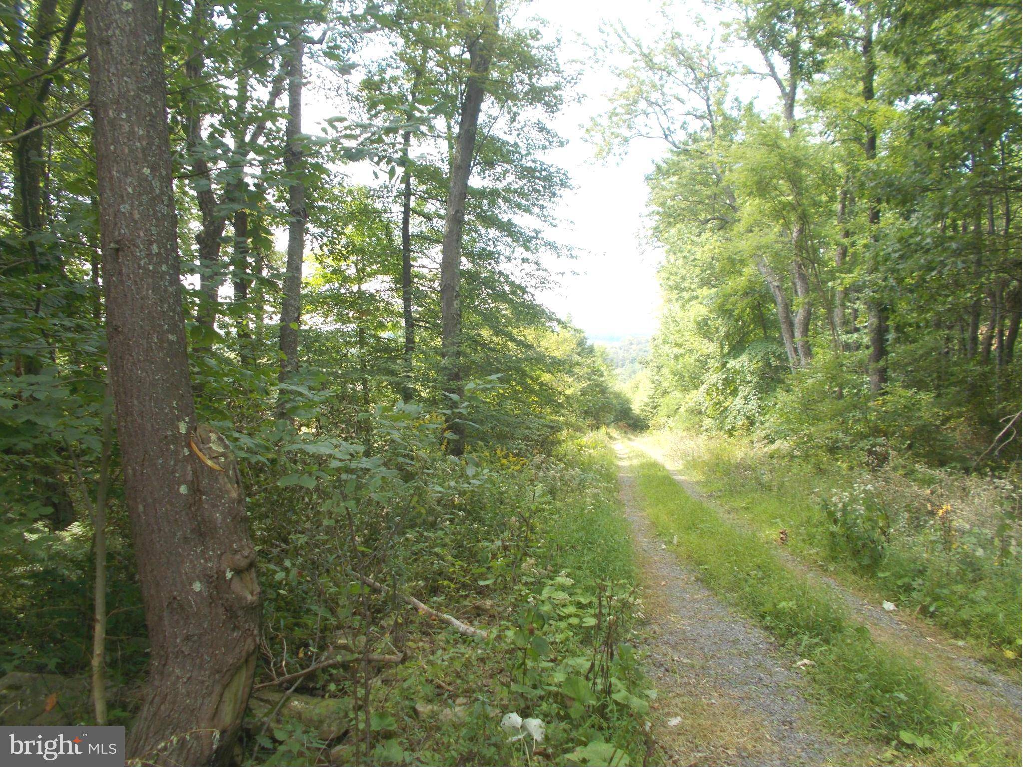 Mount Storm, WV 26739,12 LOT 12 KINGS ACRES