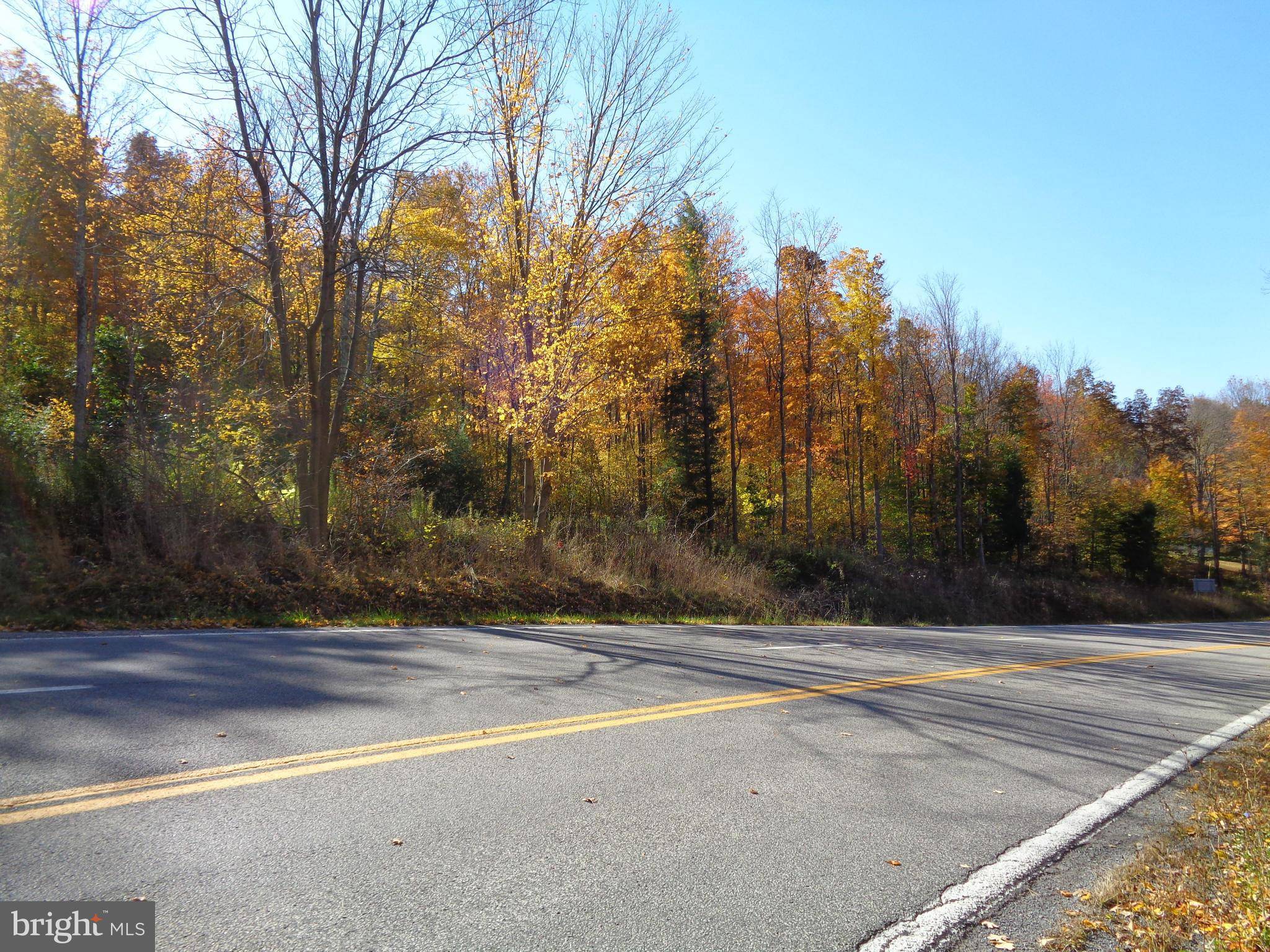 Mount Storm, WV 26739,GEORGE WASHINGTON HIGHWAY