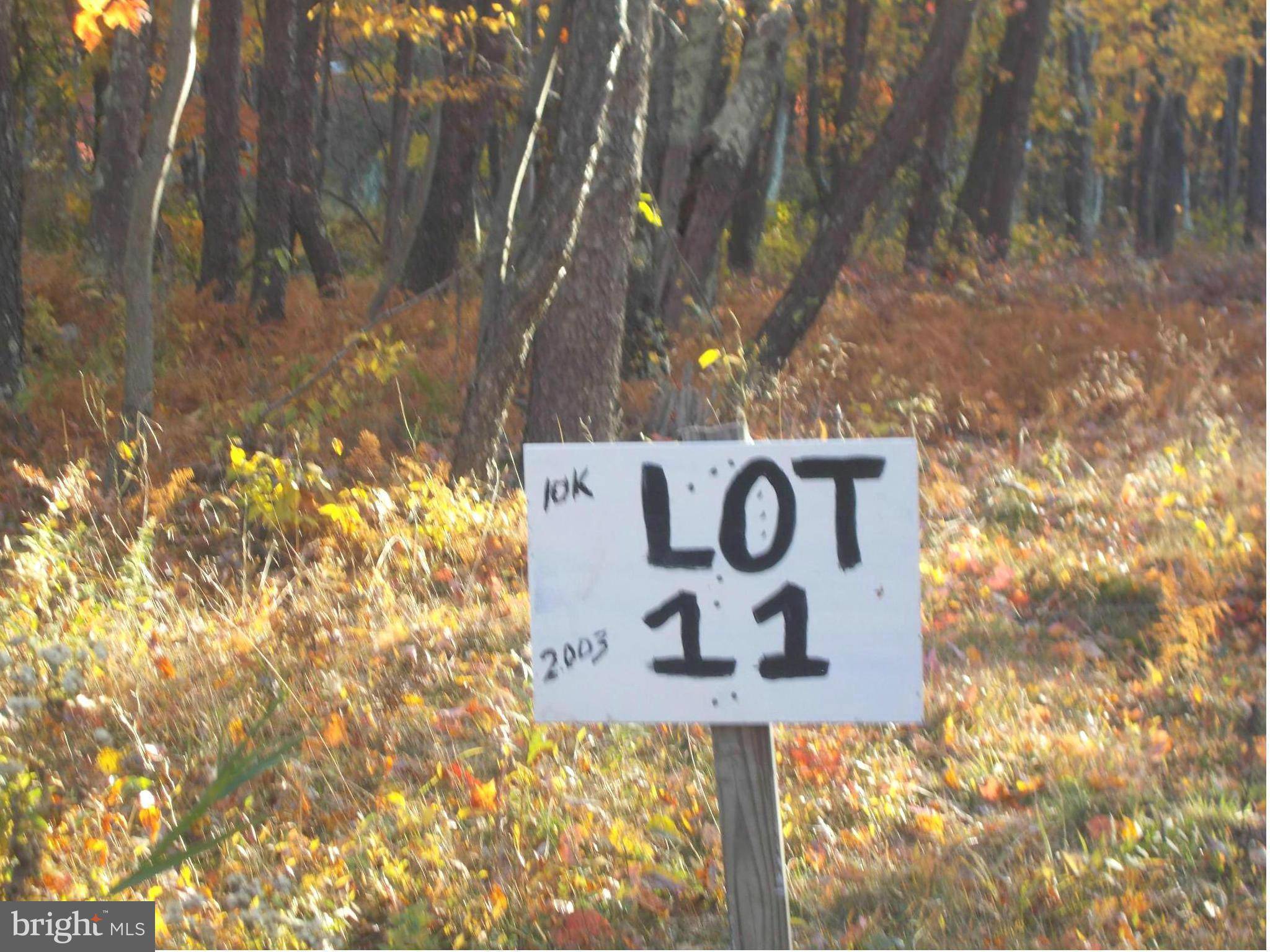 Mount Storm, WV 26739,11 LOT 11 KINGS ACRES