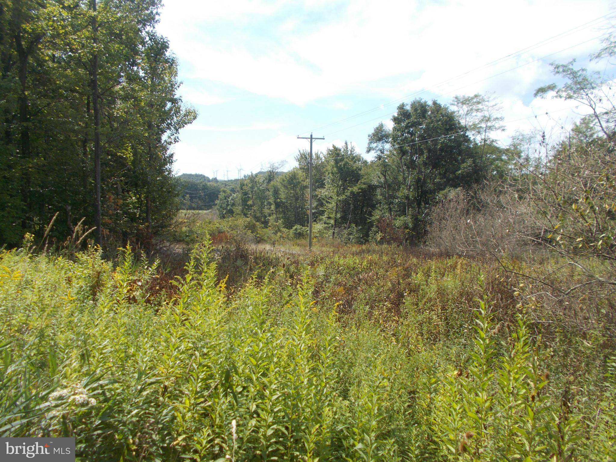 Mount Storm, WV 26739,11 LOT 11 KINGS ACRES