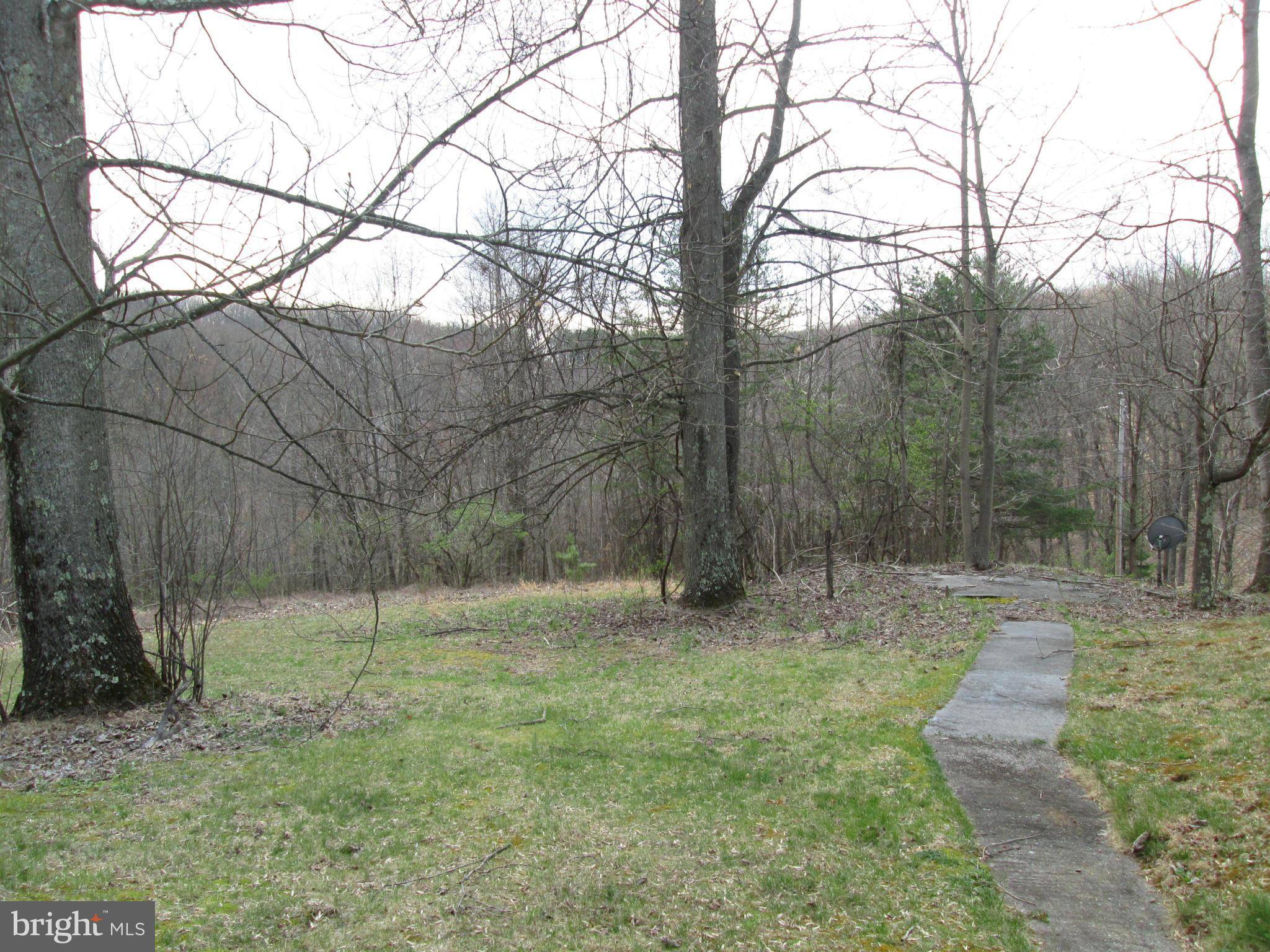 Great Cacapon, WV 25422,4245 WOODMONT RD