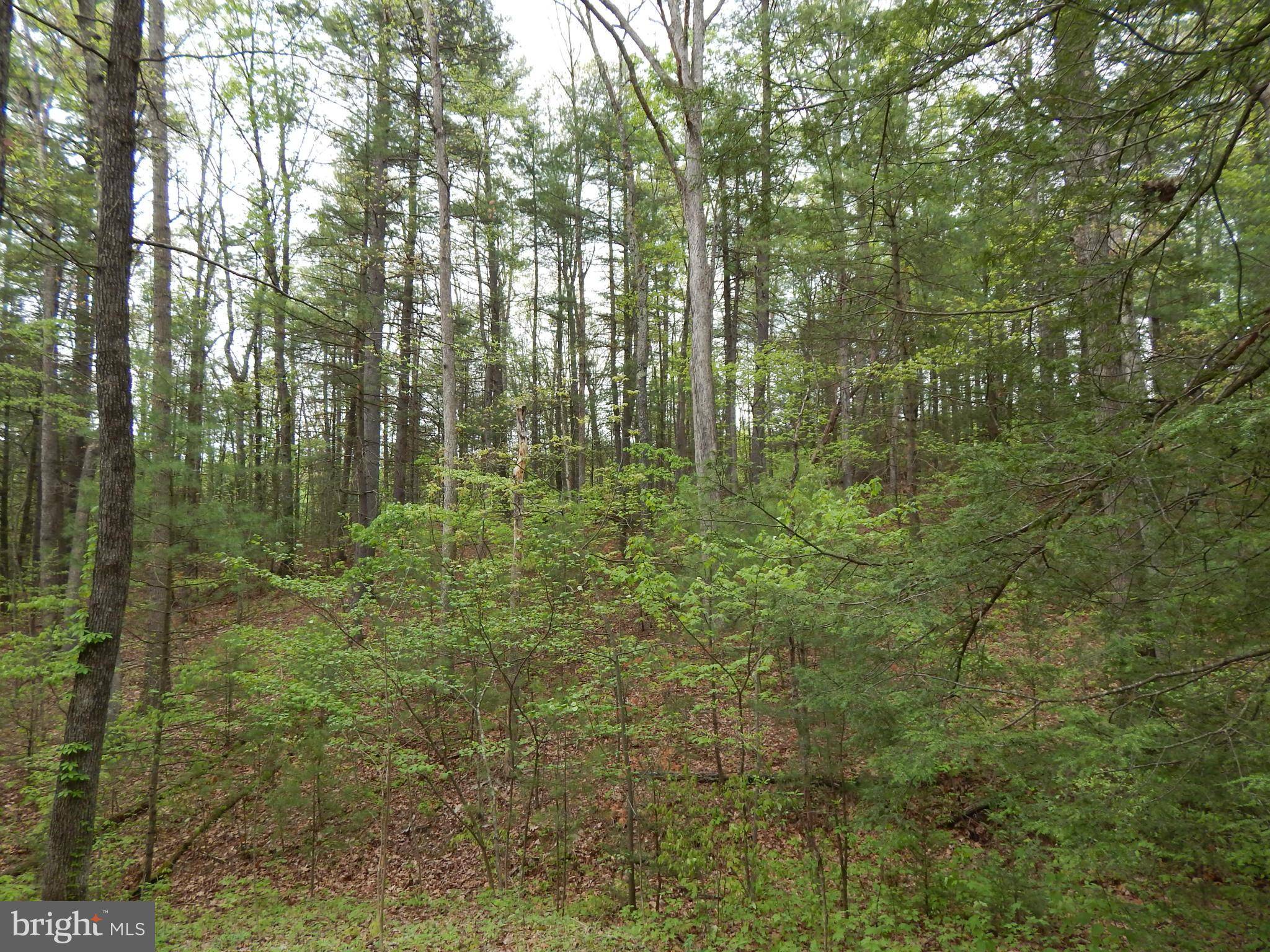 Hedgesville, WV 25427,LOT 20 CHESTNUT OAK LANE