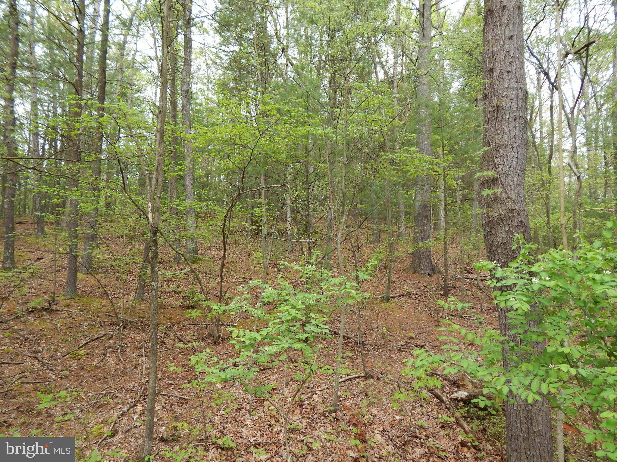 Hedgesville, WV 25427,LOT 20 CHESTNUT OAK LANE