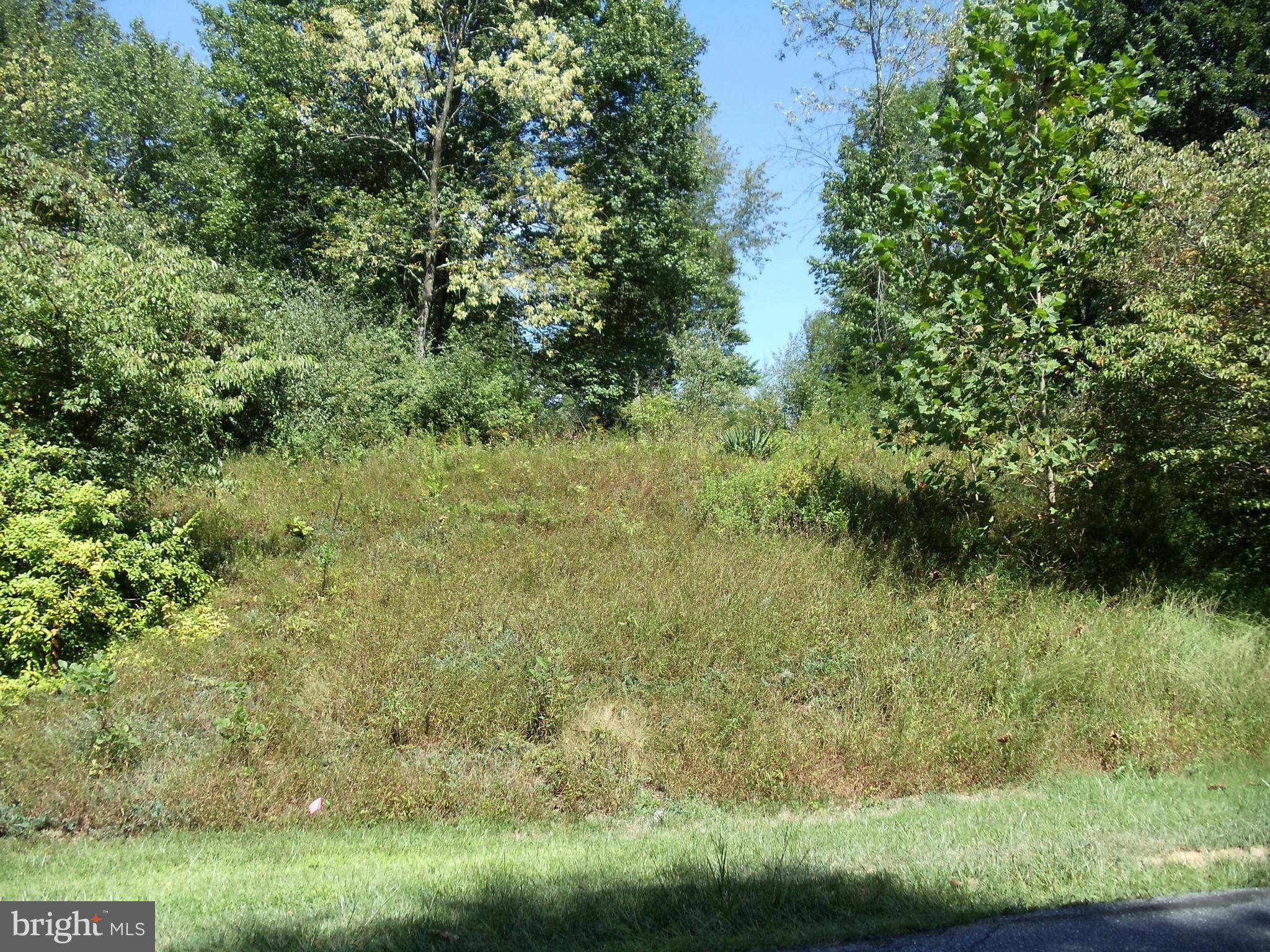 Mount Airy, MD 21771,DETRICK-LOT 4 KNOLL ROAD RD