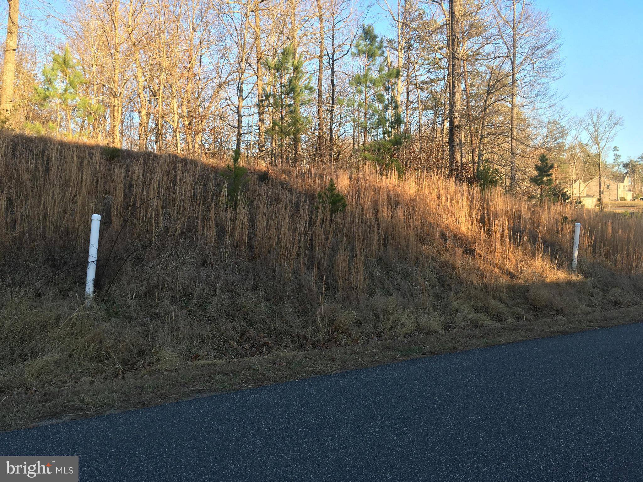 Barboursville, VA 22923,LOT 24 FLINTSTONE DR