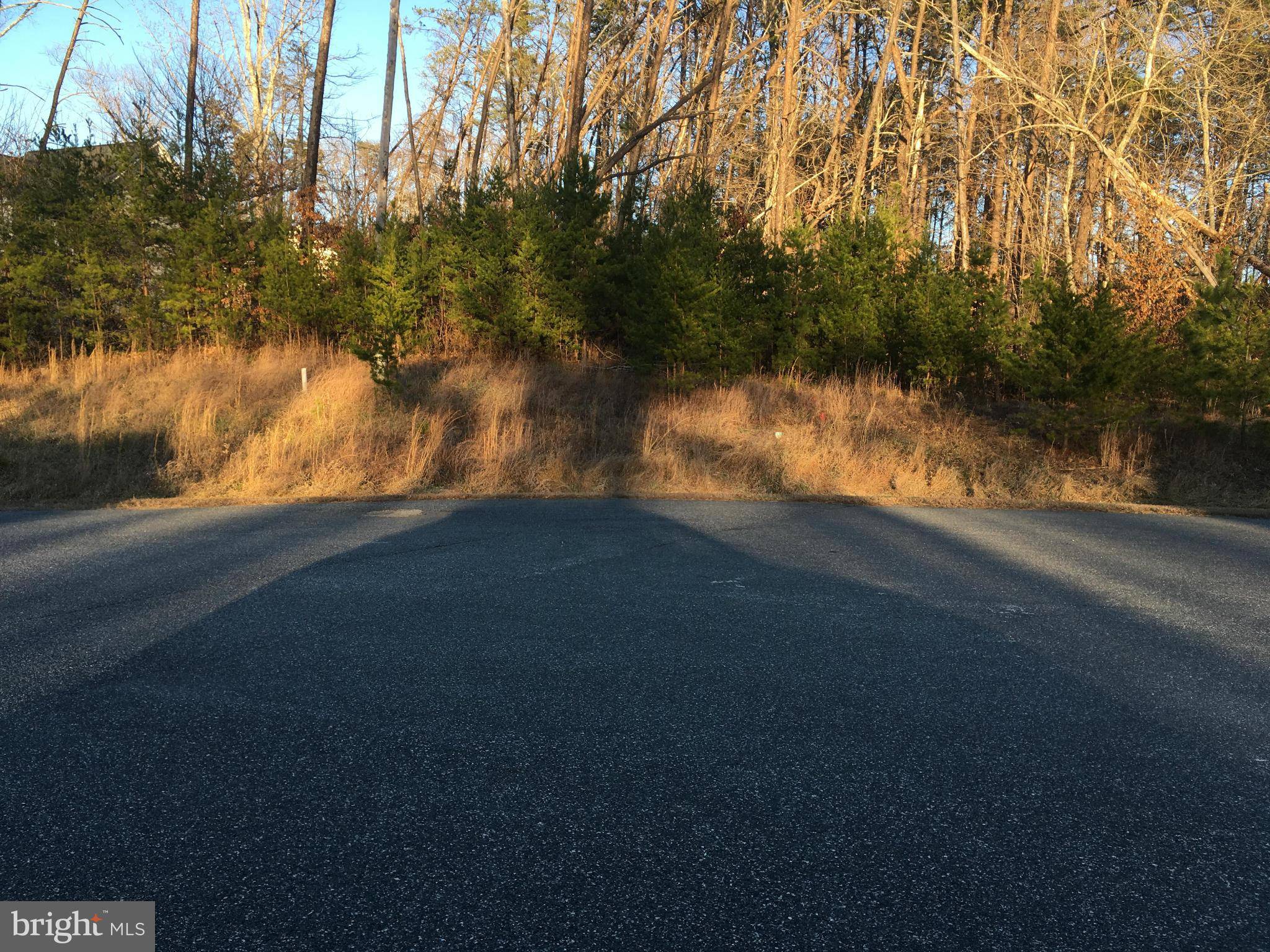 Barboursville, VA 22923,LOT 42 FLINTSTONE DR