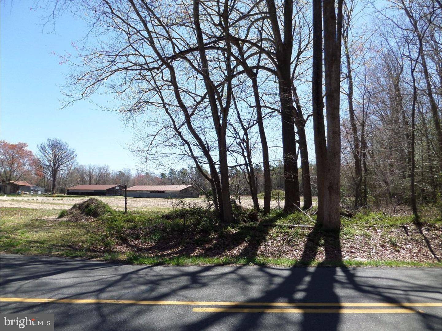 Ellendale, DE 19941,LOT 1 REYNOLDS POND RD