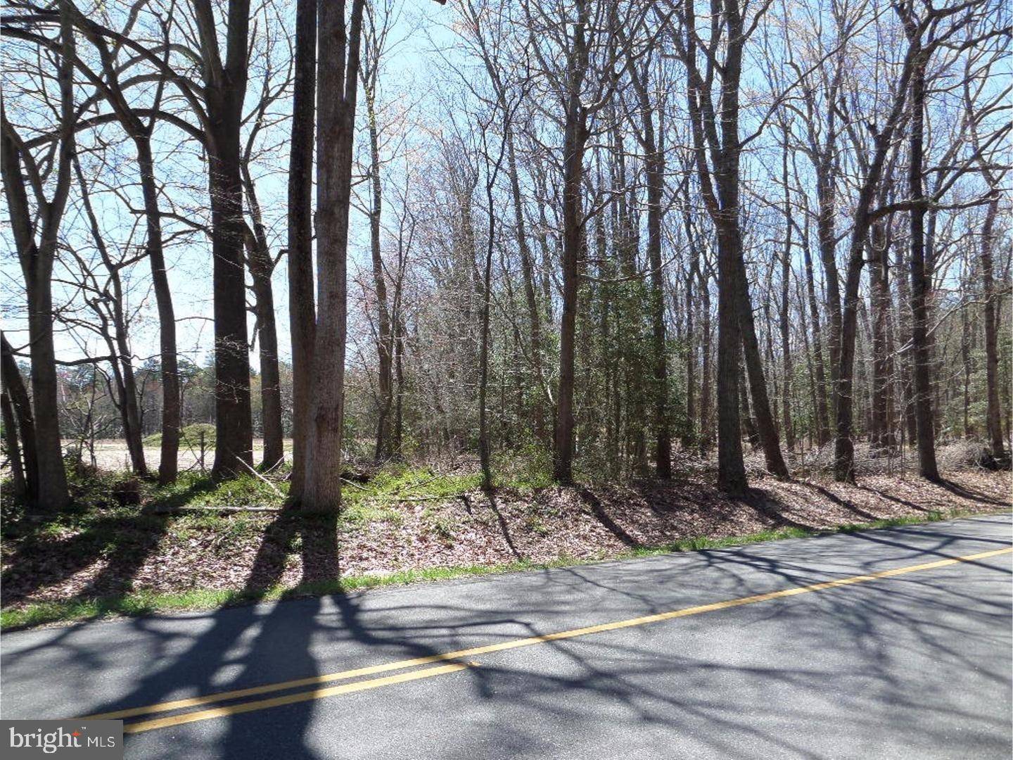 Ellendale, DE 19941,LOT 1 REYNOLDS POND RD