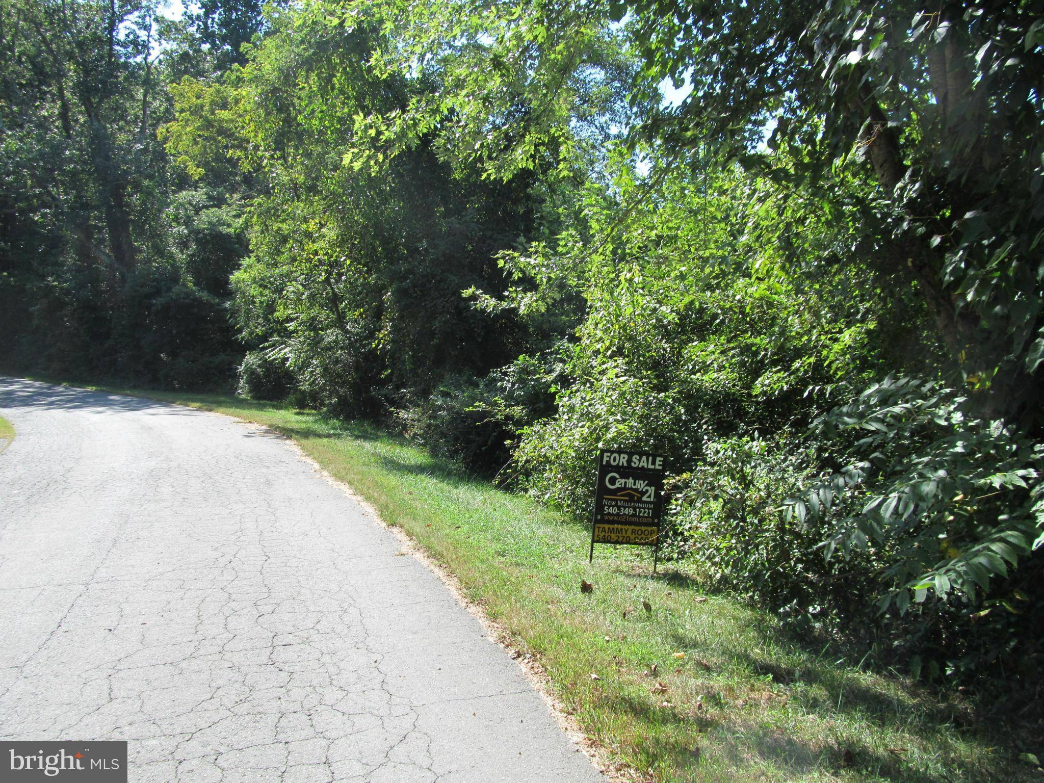 Warrenton, VA 20186,LOT 1 SUMMERFIELD HILLS DR