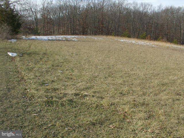 Clear Brook, VA 22624,2-LOT# SHADY CREEK RD