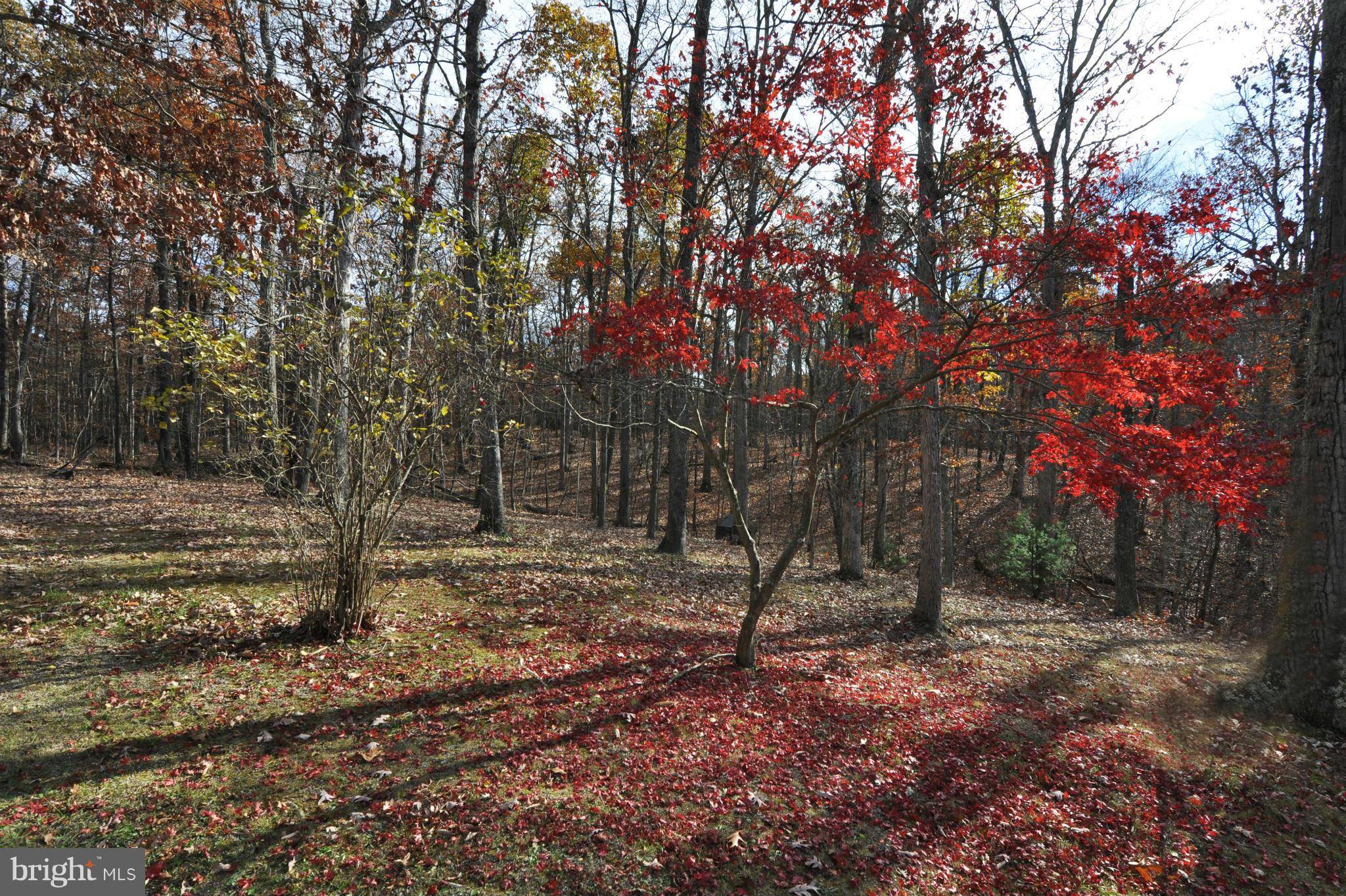 Clear Brook, VA 22624,232 FORGOTTEN LN