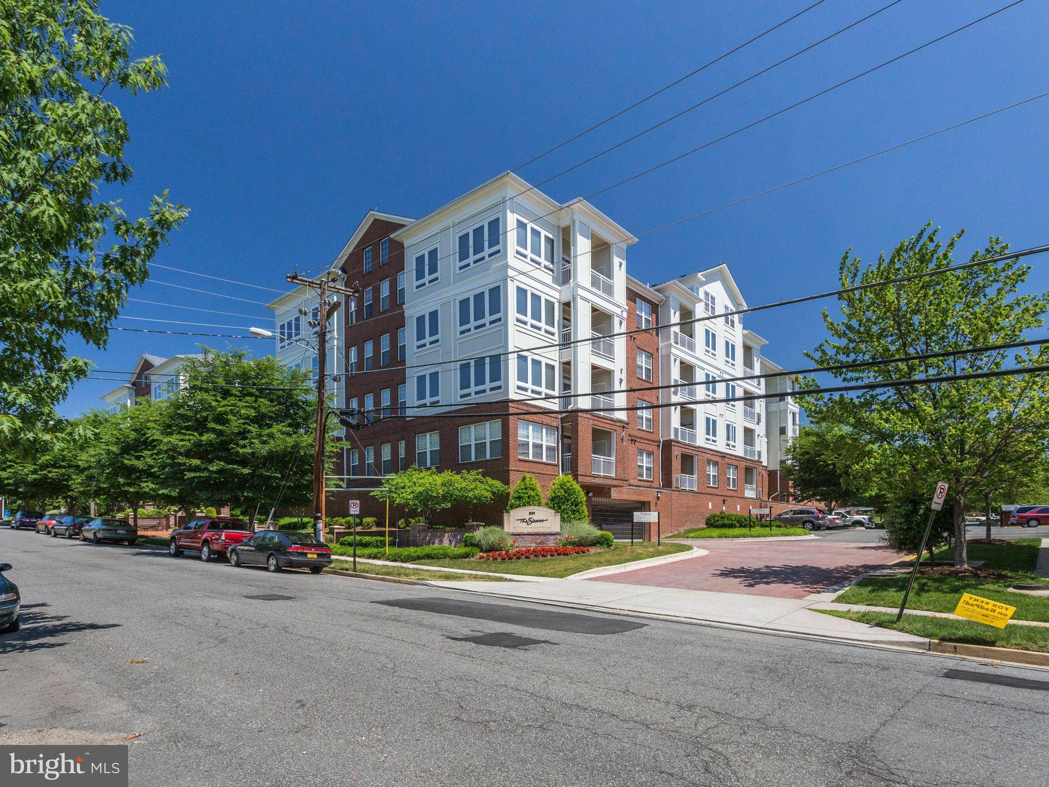 Arlington, VA 22204,801 GREENBRIER ST #219