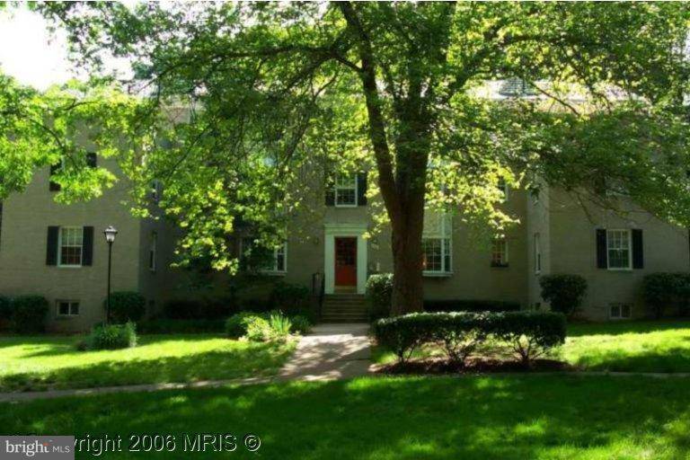 Arlington, VA 22204,706 ARLINGTON MILL DR #304