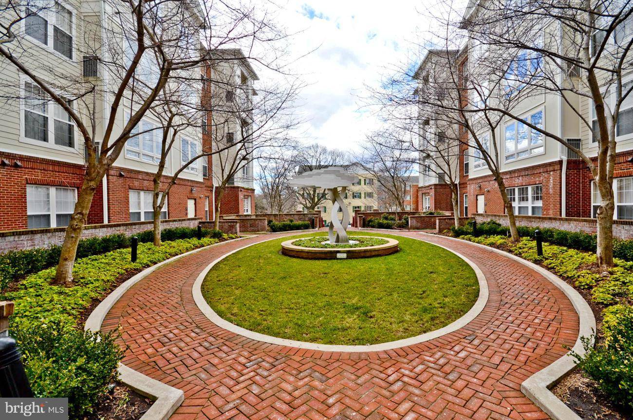 Arlington, VA 22204,801 GREENBRIER ST #418