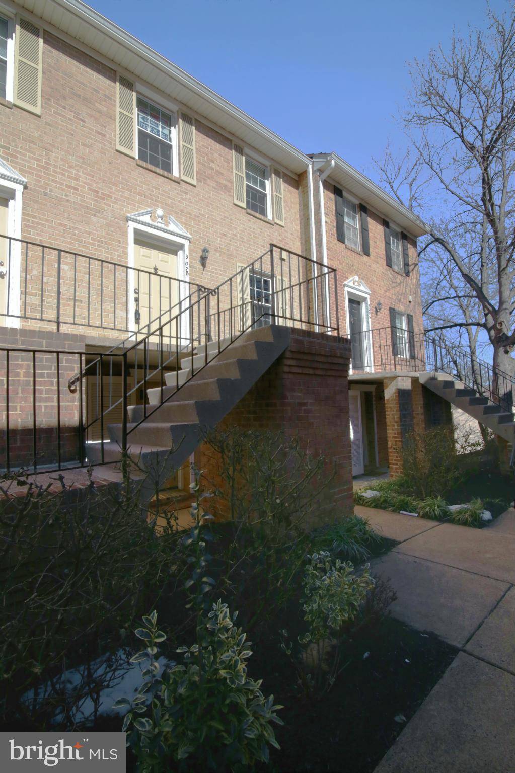 Arlington, VA 22204,907 ROLFE ST #2