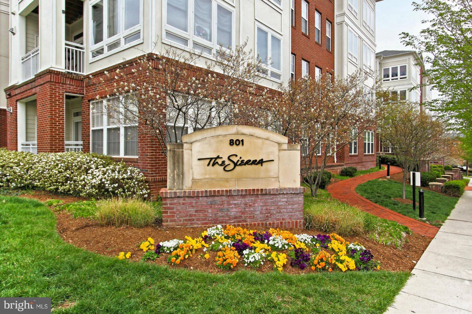 Arlington, VA 22204,801 GREENBRIER ST #305