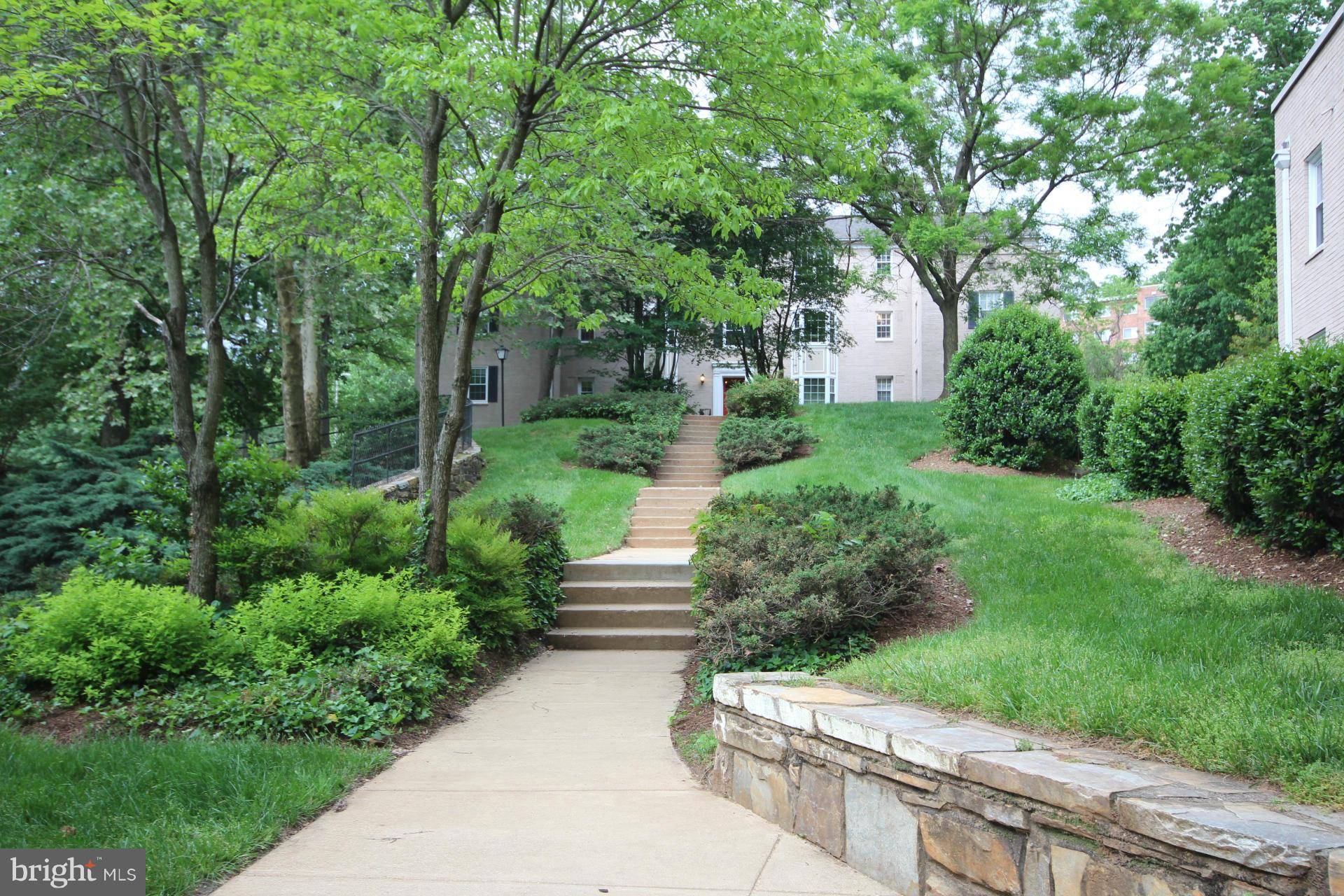 Arlington, VA 22204,806 ARLINGTON MILL DR #203