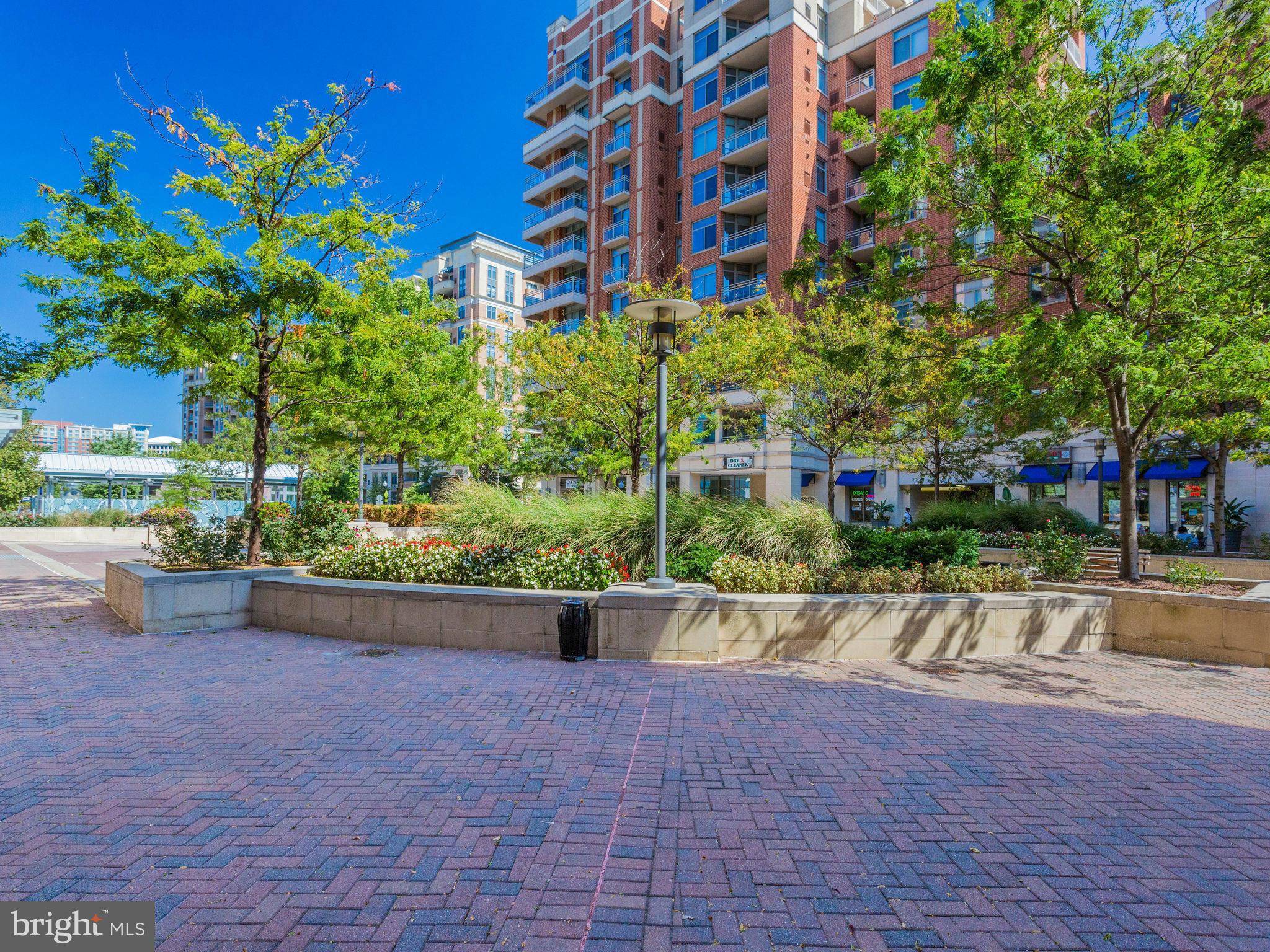 Arlington, VA 22202,3650 GLEBE RD #443