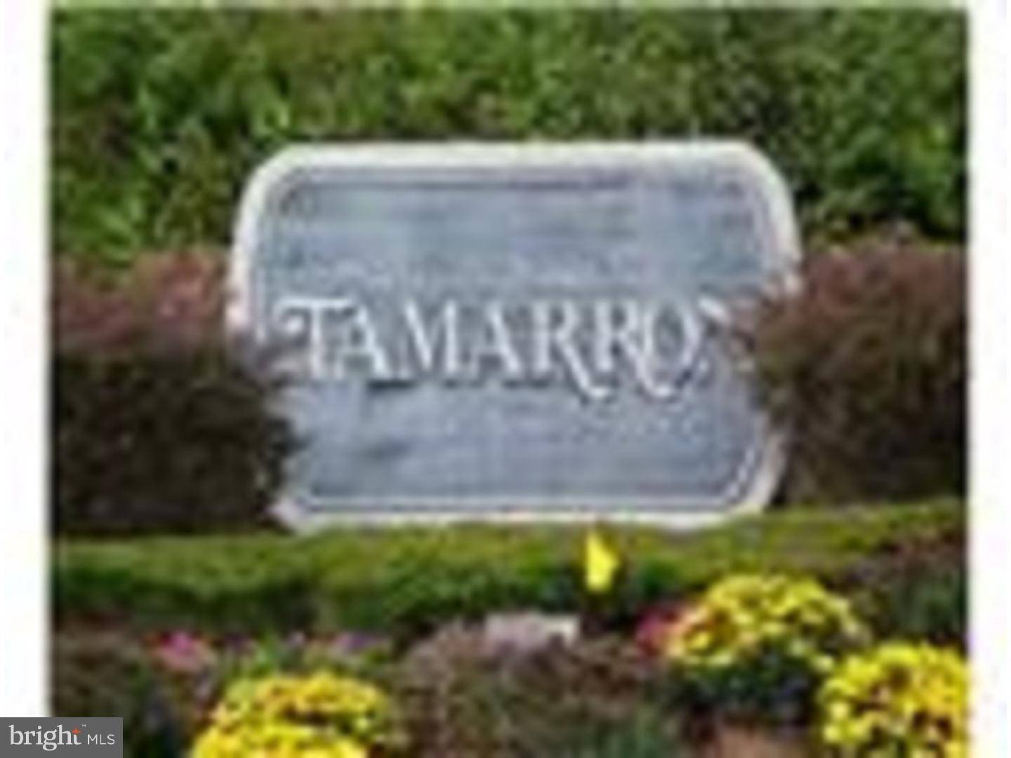 Plainsboro, NJ 08536,8502 TAMARRON DR