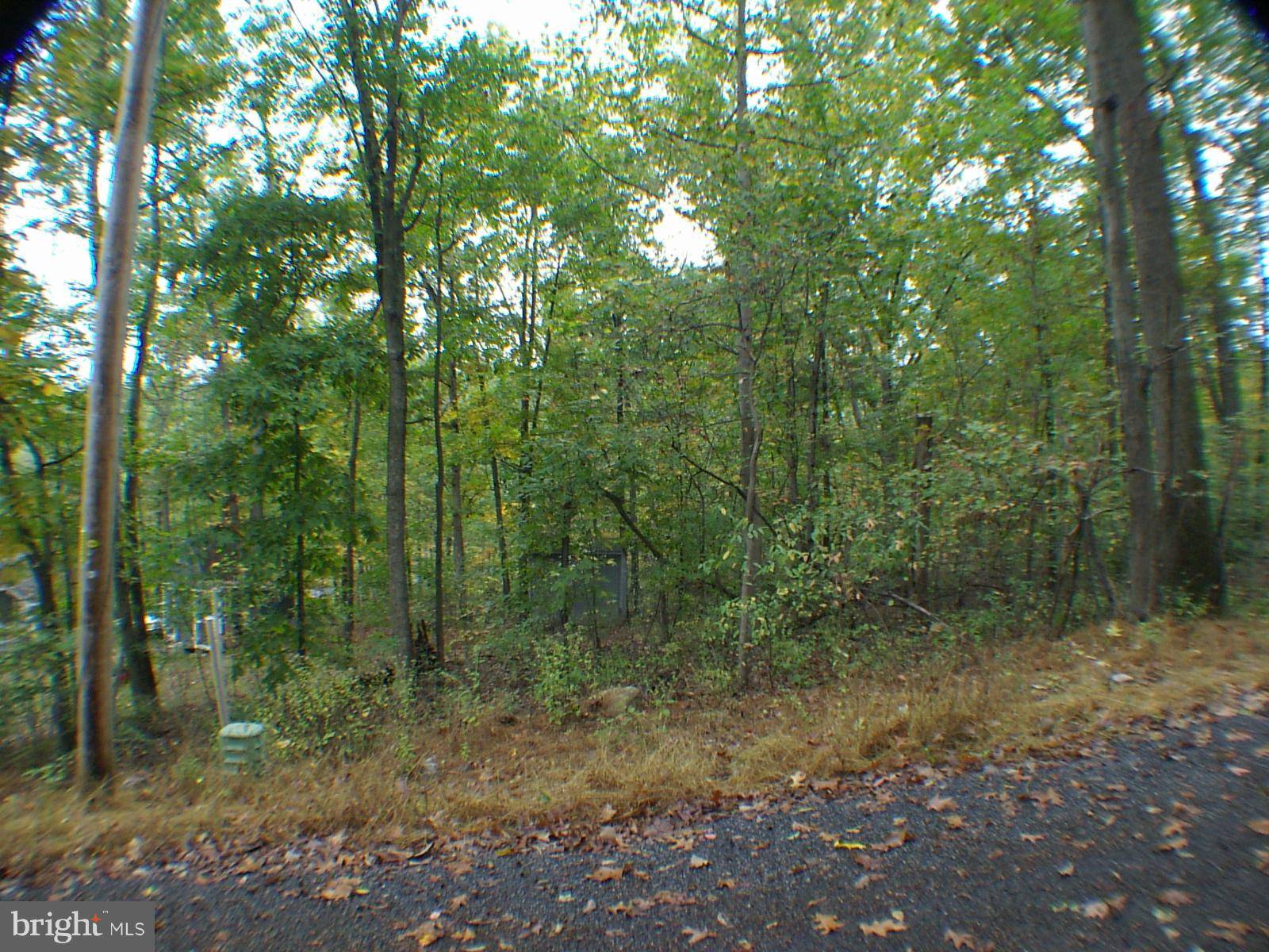 Winchester, VA 22602,TECUMSEH TRAIL. LOT 21