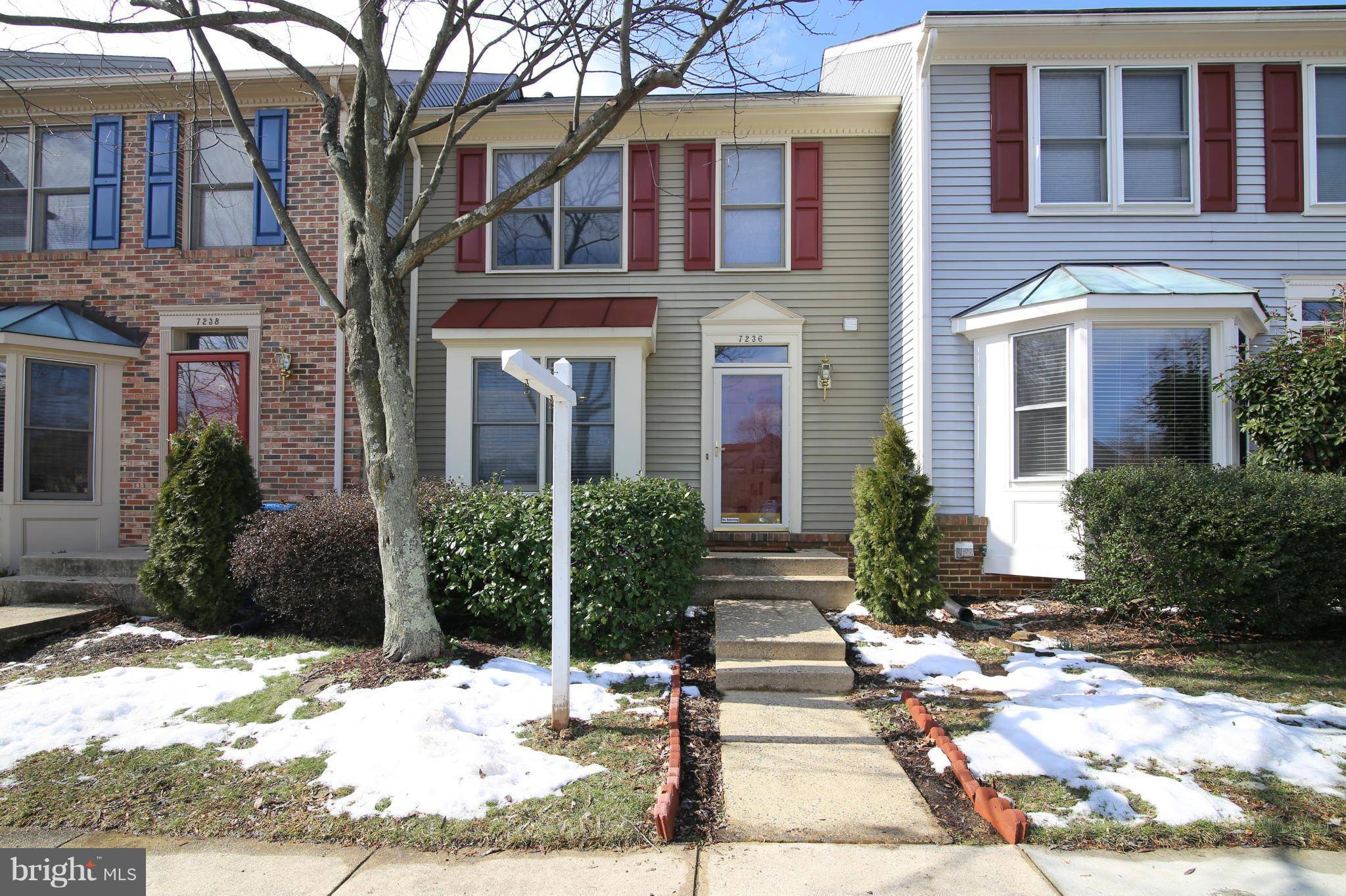 Alexandria, VA 22315,7236 LENSFIELD CT