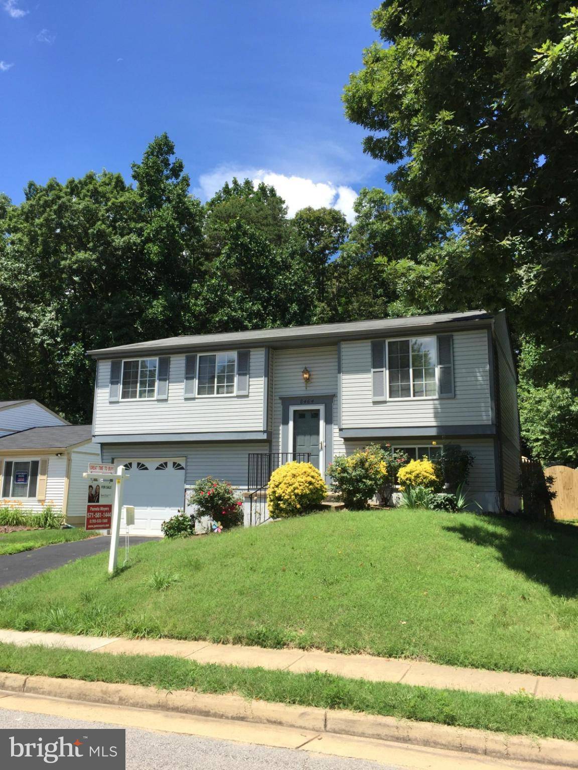 Springfield, VA 22153,8464 MAGIC TREE CT