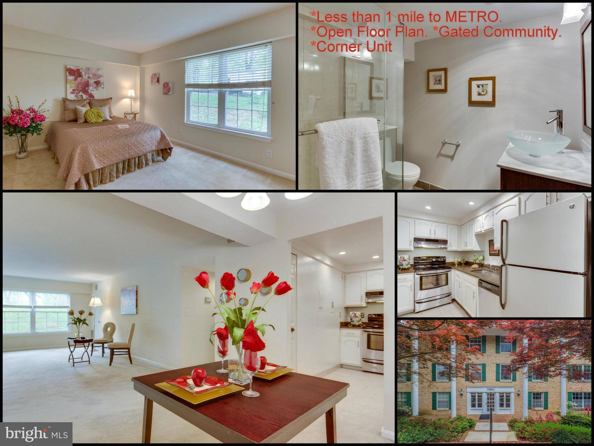 Mclean, VA 22102,7651 TREMAYNE PL #101