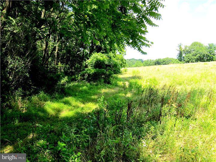 Doylestown, PA 18902,3055 BURNT HOUSE HILL RD #LOT #1