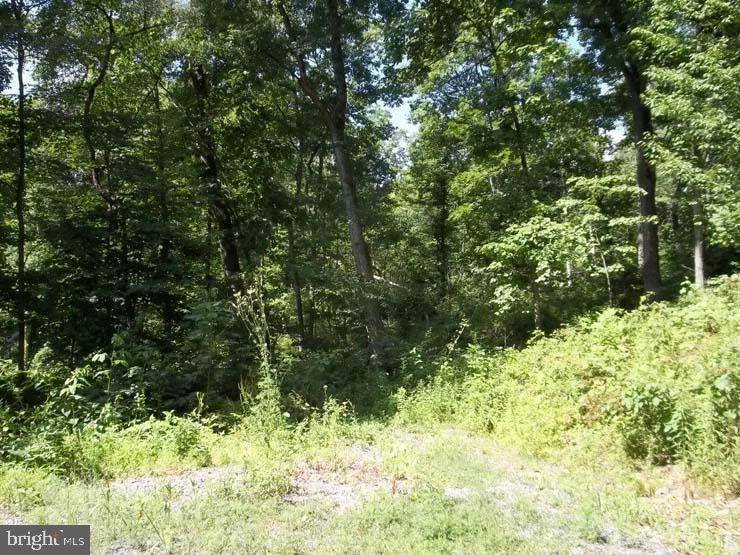 Mifflintown, PA 17059,LOT 1 MILFORD