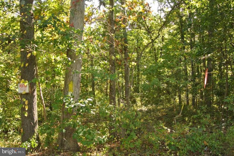 Wellsville, PA 17365,LOT #3 PINE WOODS RD