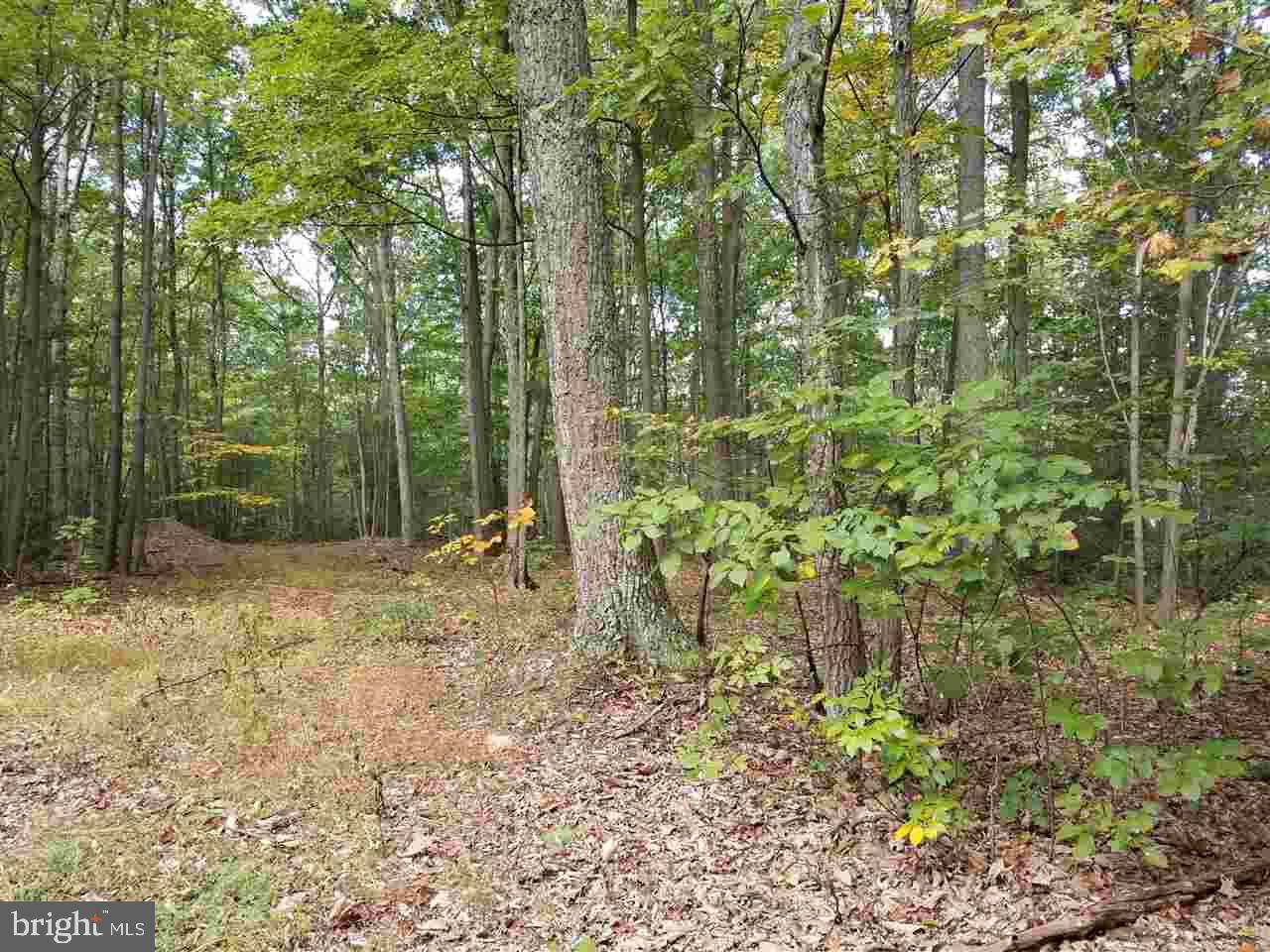 Elliottsburg, PA 17024,LOT 22 PEACH TREE LN