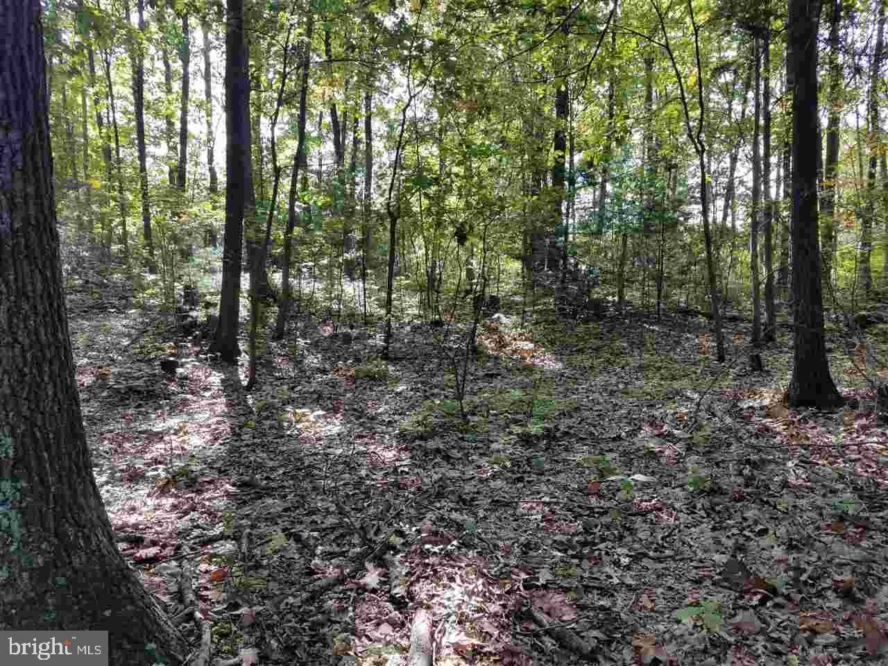 Elliottsburg, PA 17024,LOT 22 PEACH TREE LN