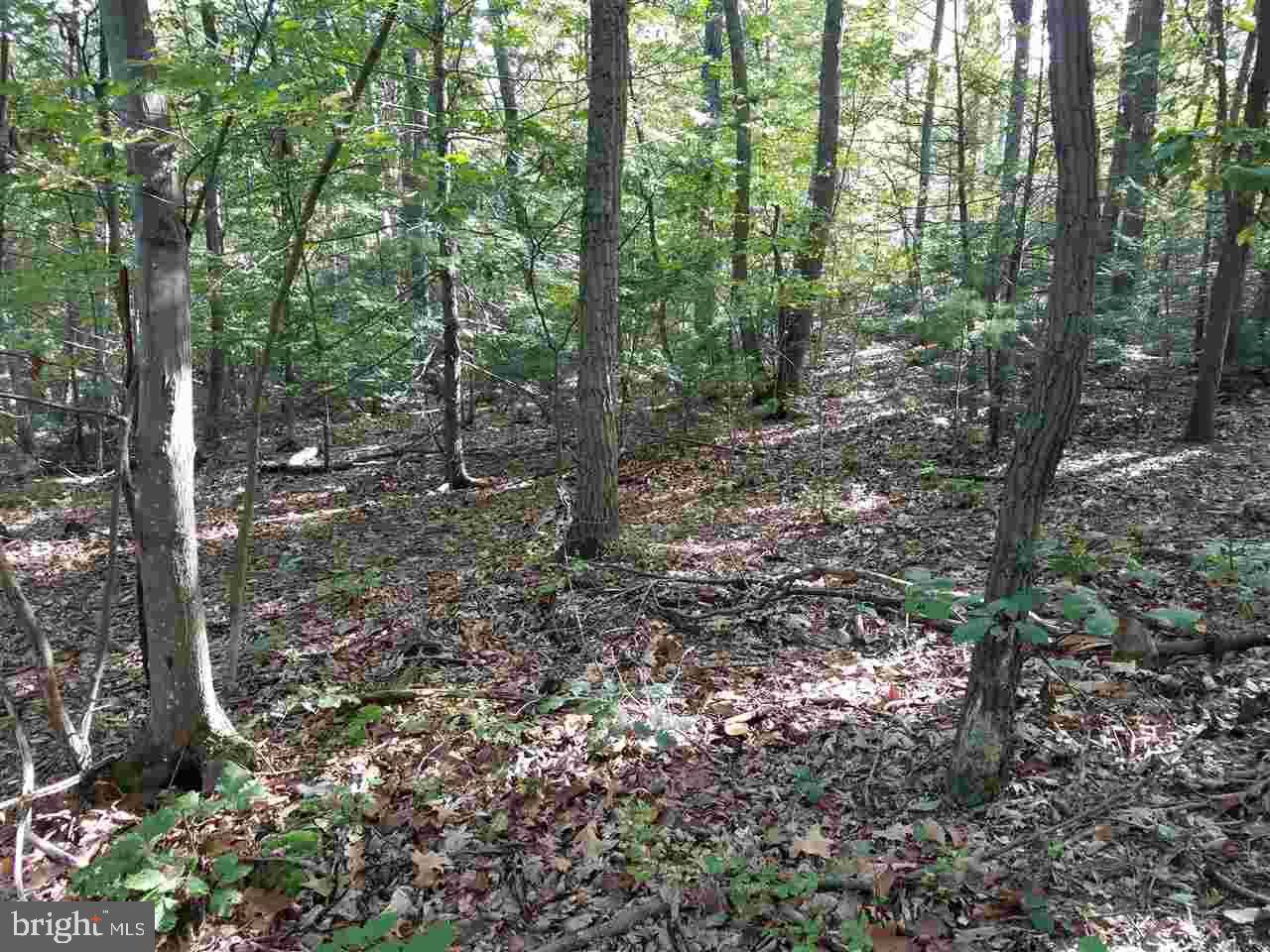 Elliottsburg, PA 17024,LOT 22 PEACH TREE LN