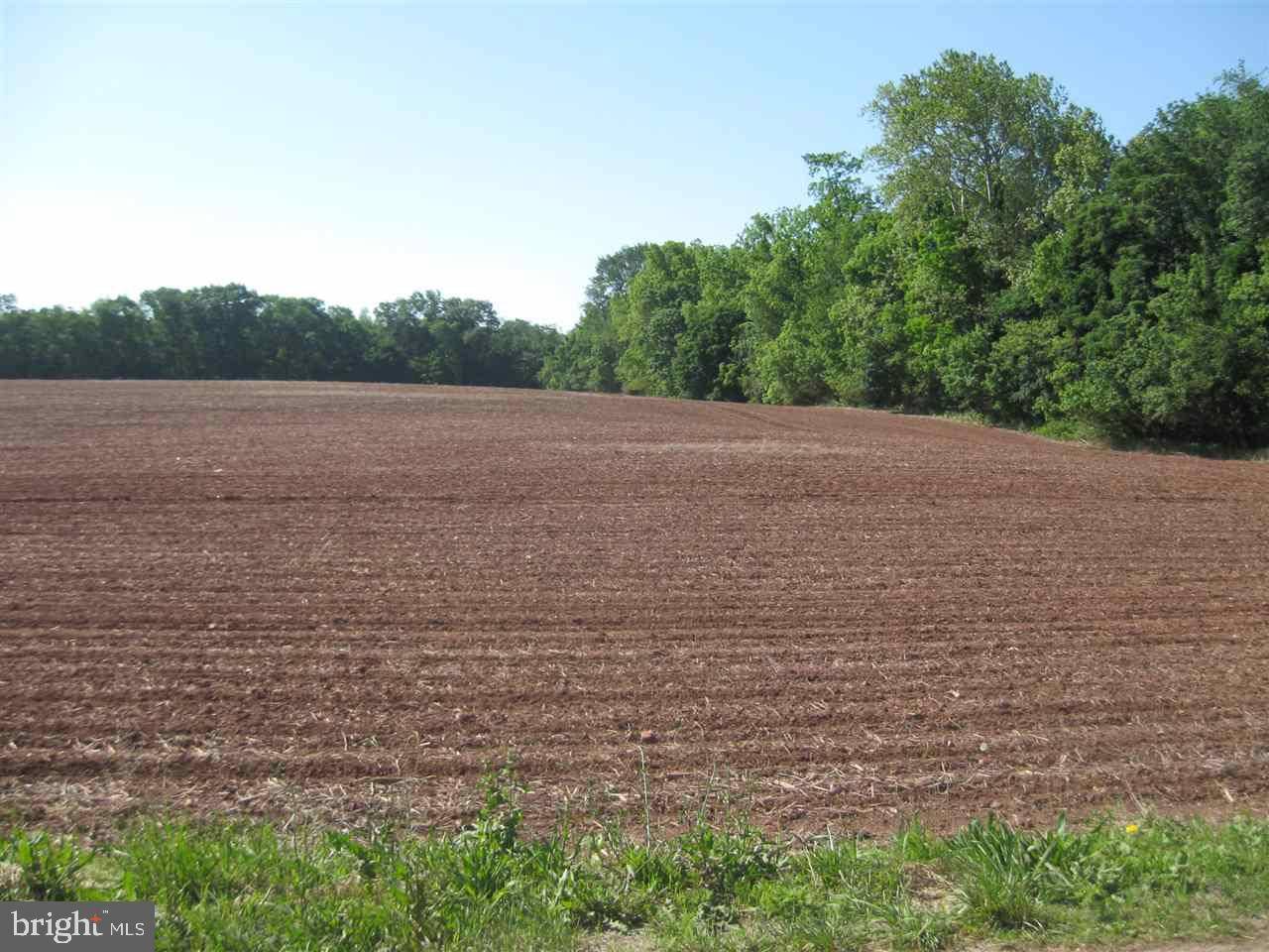 New Oxford, PA 17350,LOT 2 DICKS DAM RD