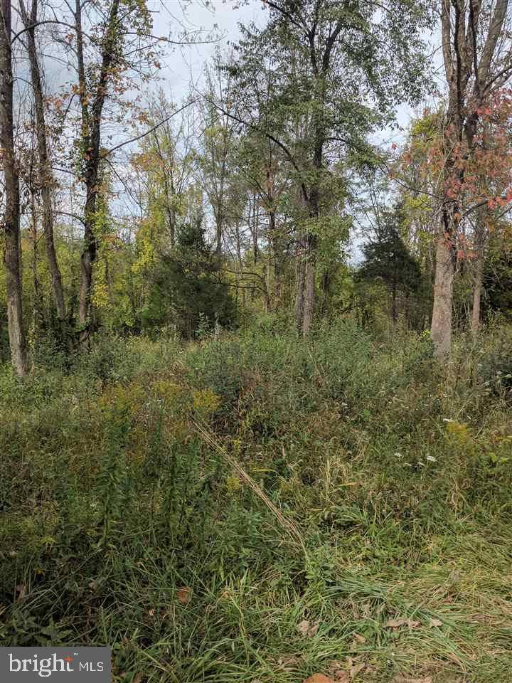 Dillsburg, PA 17019,LOT 10A JENNIFER LN