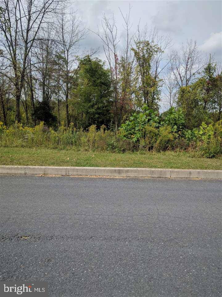 Dillsburg, PA 17019,LOT 10A JENNIFER LN