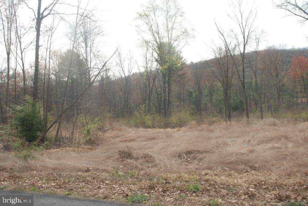 New Bloomfield, PA 17068,LOT 6B GREENBRIAR RD