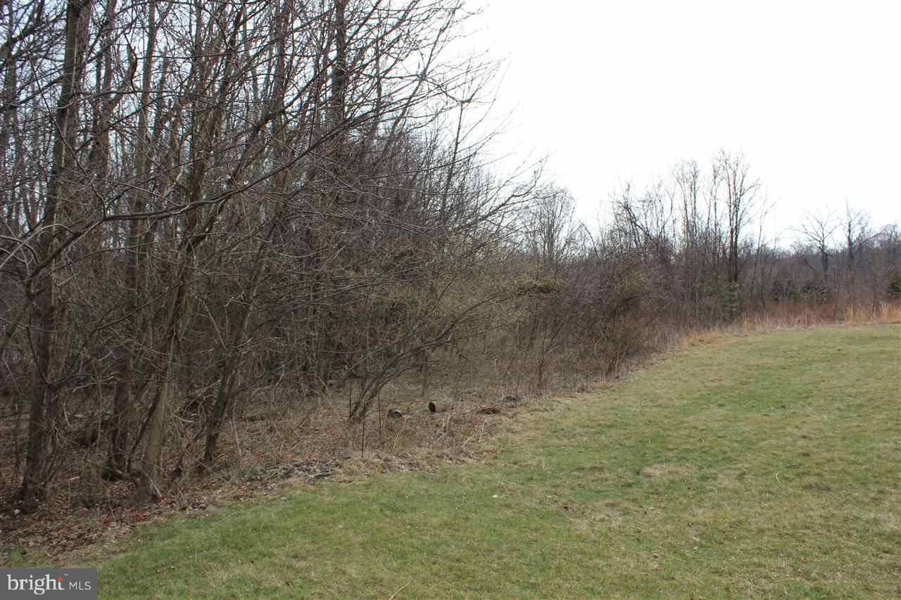 Fairfield, PA 17320,0 JACKS MOUNTAIN RD #LOT #3